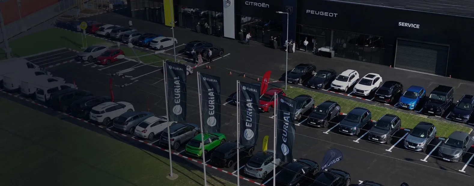 auto dealer, eurialcertified.ro